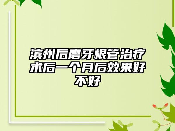 滨州后磨牙根管治疗术后一个月后效果好不好