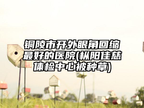 铜陵市开外眼角回缩最好的医院(枞阳佳慈体检中心被种草)