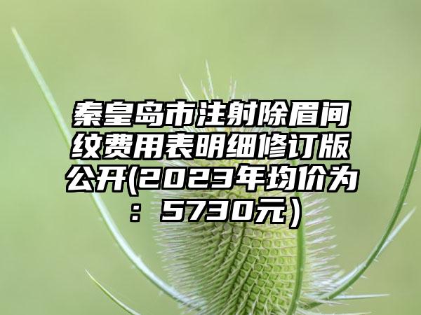 秦皇岛市注射除眉间纹费用表明细修订版公开(2023年均价为：5730元）