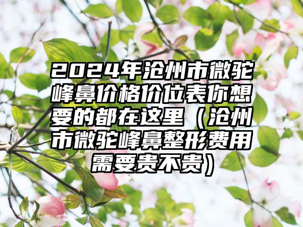 2024年沧州市微驼峰鼻价格价位表你想要的都在这里（沧州市微驼峰鼻整形费用需要贵不贵）