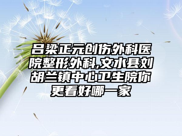 吕梁正元创伤外科医院整形外科,文水县刘胡兰镇中心卫生院你更看好哪一家