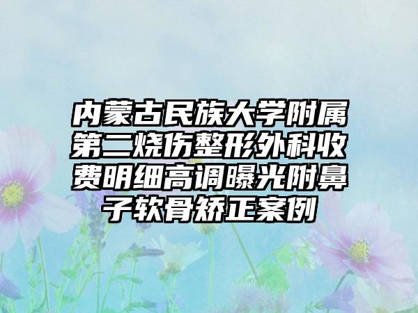 内蒙古民族大学附属第二烧伤整形外科收费明细高调曝光附鼻子软骨矫正案例