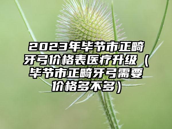 2023年毕节市正畸牙弓价格表医疗升级（毕节市正畸牙弓需要价格多不多）