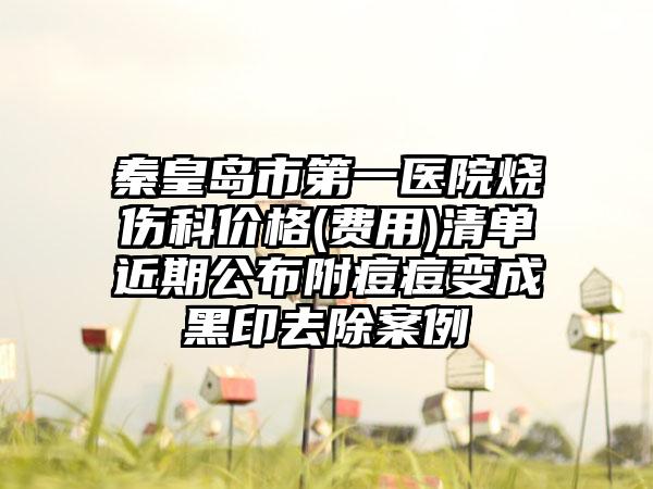 秦皇岛市第一医院烧伤科价格(费用)清单近期公布附痘痘变成黑印去除案例