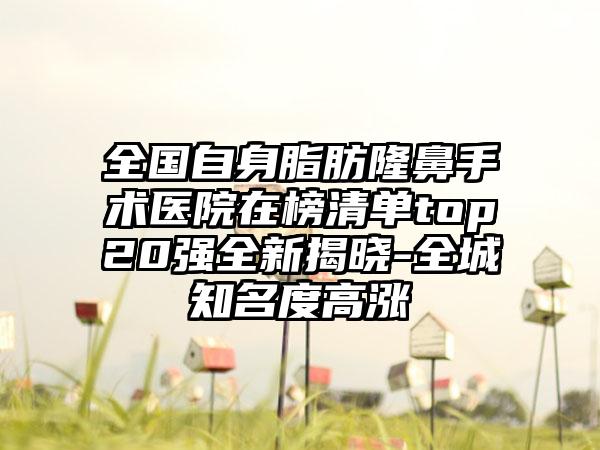 全国自身脂肪隆鼻手术医院在榜清单top20强全新揭晓-全城知名度高涨