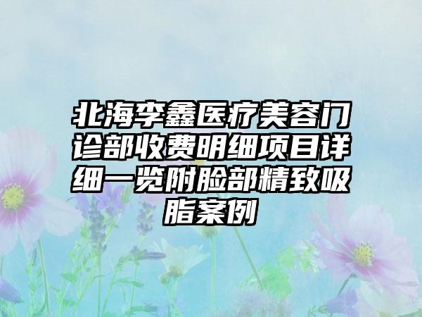 北海李鑫医疗美容门诊部收费明细项目详细一览附脸部精致吸脂案例