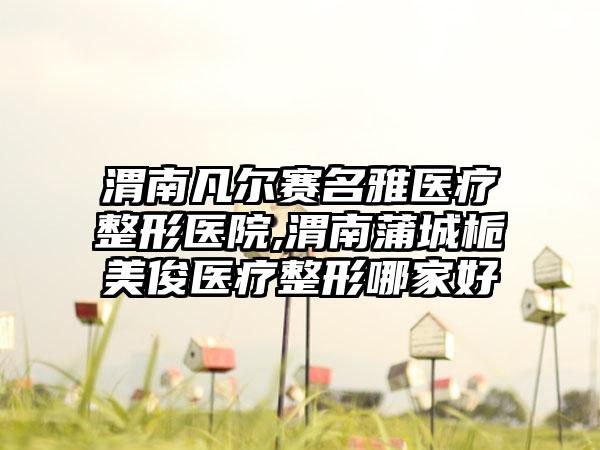 渭南凡尔赛名雅医疗整形医院,渭南蒲城栀美俊医疗整形哪家好