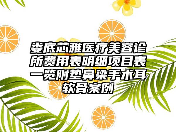 娄底芯雅医疗美容诊所费用表明细项目表一览附垫鼻梁手术耳软骨案例