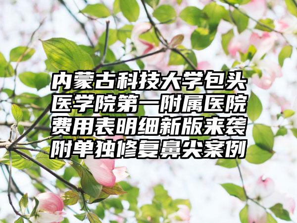 内蒙古科技大学包头医学院第一附属医院费用表明细新版来袭附单独修复鼻尖案例