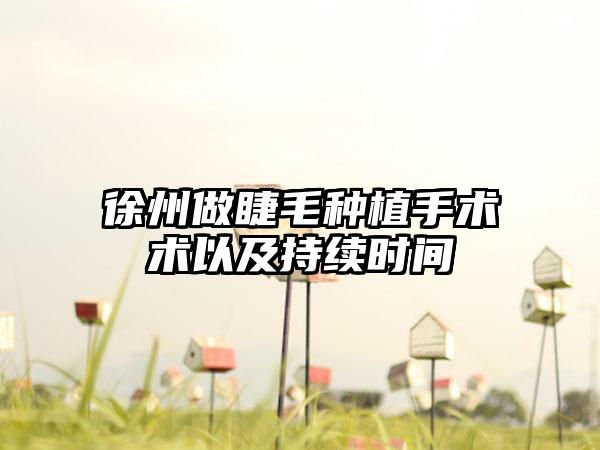 徐州做睫毛种植手术术以及持续时间