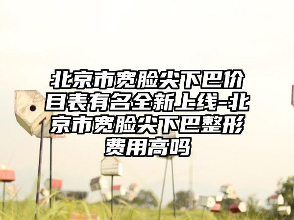 北京市宽脸尖下巴价目表有名全新上线-北京市宽脸尖下巴整形费用高吗