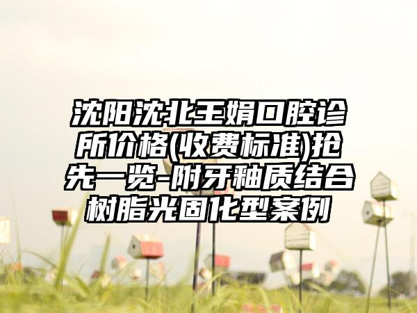 沈阳沈北王娟口腔诊所价格(收费标准)抢先一览-附牙釉质结合树脂光固化型案例