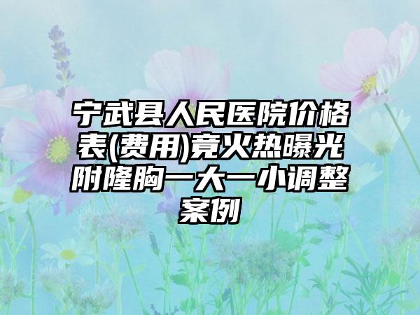 宁武县人民医院价格表(费用)竟火热曝光附隆胸一大一小调整案例