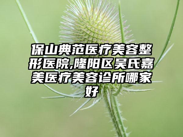 保山典范医疗美容整形医院,隆阳区吴氏嘉美医疗美容诊所哪家好