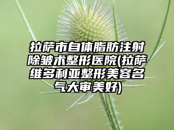 拉萨市自体脂肪注射除皱术整形医院(拉萨维多利亚整形美容名气大审美好)