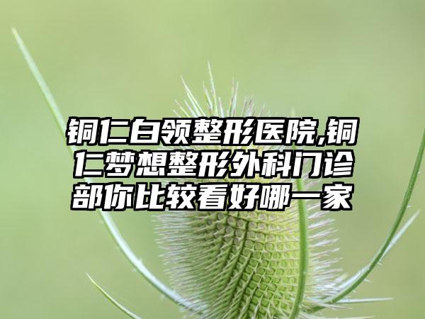 铜仁白领整形医院,铜仁梦想整形外科门诊部你比较看好哪一家