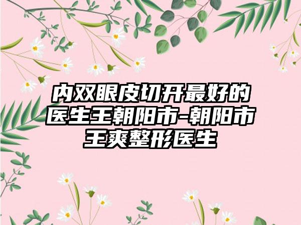 内双眼皮切开最好的医生王朝阳市-朝阳市王爽整形医生