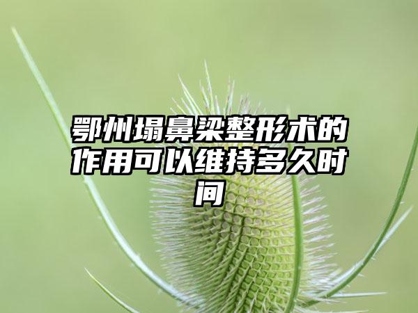 鄂州塌鼻梁整形术的作用可以维持多久时间