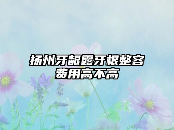 扬州牙龈露牙根整容费用高不高