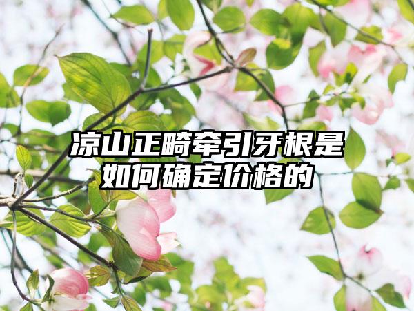 凉山正畸牵引牙根是如何确定价格的