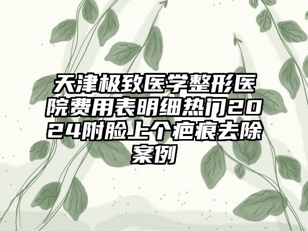 天津极致医学整形医院费用表明细热门2024附脸上个疤痕去除案例