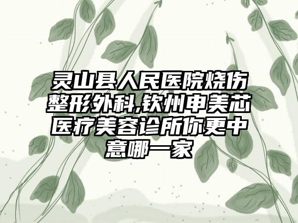 灵山县人民医院烧伤整形外科,钦州申美芯医疗美容诊所你更中意哪一家