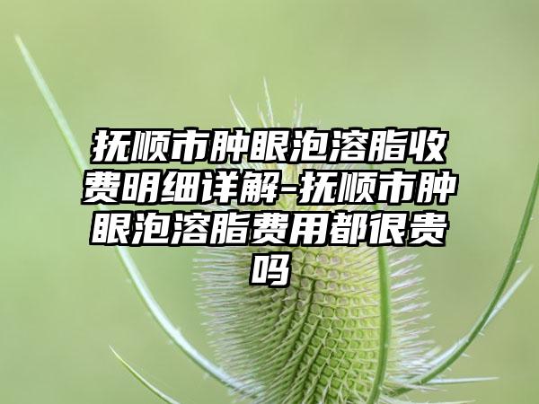 抚顺市肿眼泡溶脂收费明细详解-抚顺市肿眼泡溶脂费用都很贵吗