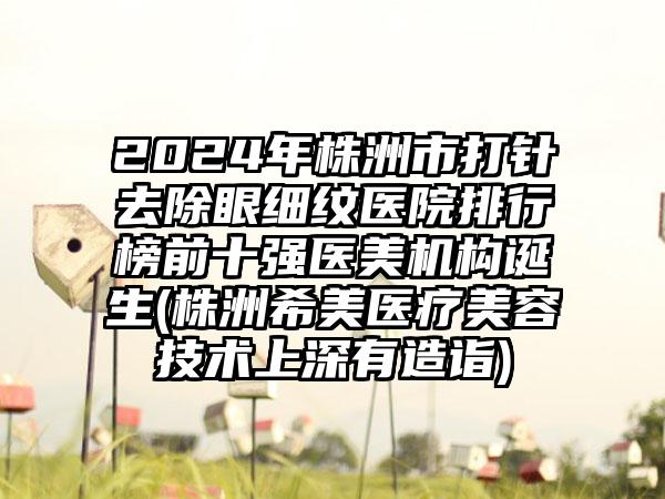 2024年株洲市打针去除眼细纹医院排行榜前十强医美机构诞生(株洲希美医疗美容技术上深有造诣)