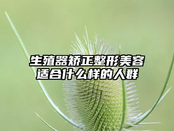 生殖器矫正整形美容适合什么样的人群