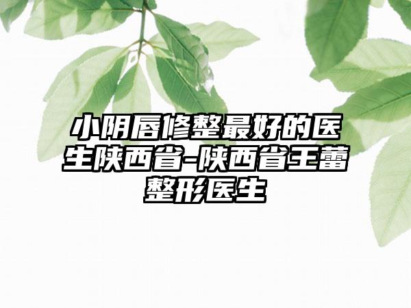 小阴唇修整最好的医生陕西省-陕西省王蕾整形医生