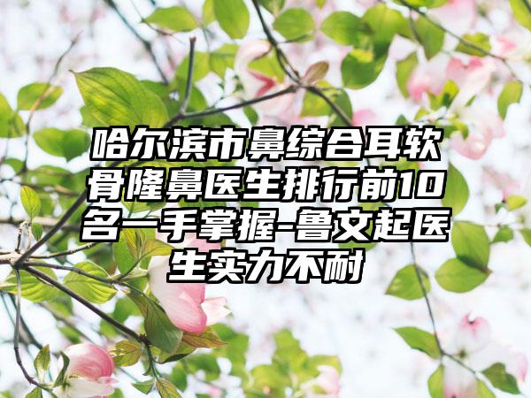 哈尔滨市鼻综合耳软骨隆鼻医生排行前10名一手掌握-鲁文起医生实力不耐