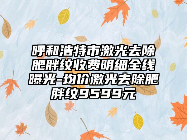 呼和浩特市激光去除肥胖纹收费明细全线曝光-均价激光去除肥胖纹9599元