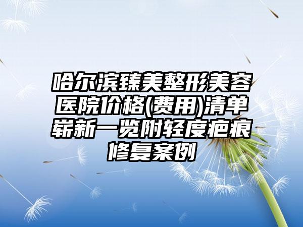 哈尔滨臻美整形美容医院价格(费用)清单崭新一览附轻度疤痕修复案例