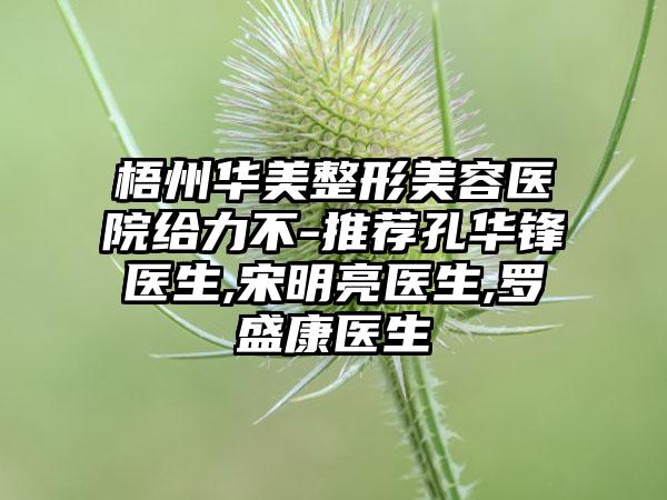 梧州华美整形美容医院给力不-推荐孔华锋医生,宋明亮医生,罗盛康医生