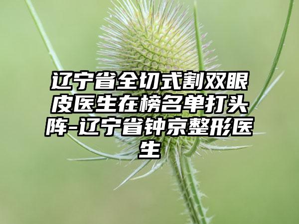 辽宁省全切式割双眼皮医生在榜名单打头阵-辽宁省钟京整形医生