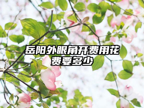 岳阳外眼角开费用花费要多少