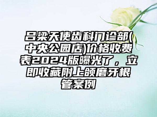 吕梁天使齿科门诊部(中央公园店)价格收费表2024版曝光了，立即收藏附上颌磨牙根管案例