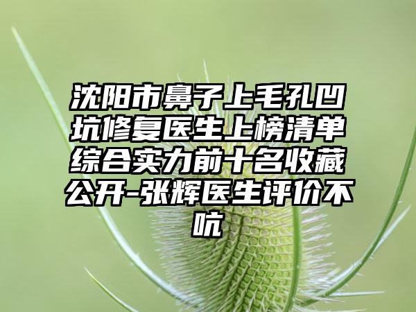 沈阳市鼻子上毛孔凹坑修复医生上榜清单综合实力前十名收藏公开-张辉医生评价不吭