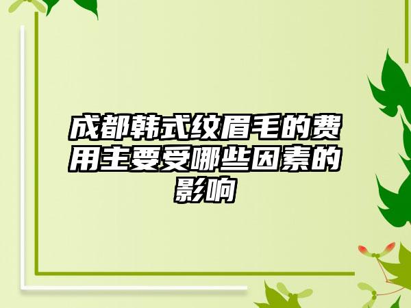 成都韩式纹眉毛的费用主要受哪些因素的影响