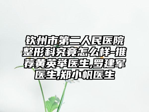 钦州市第二人民医院整形科究竟怎么样-推荐黄英举医生,罗建军医生,郑小帆医生