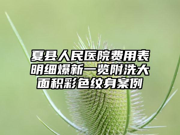 夏县人民医院费用表明细爆新一览附洗大面积彩色纹身案例