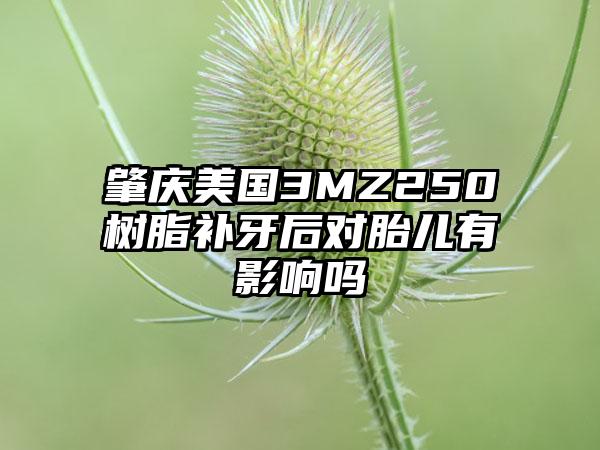 肇庆美国3MZ250树脂补牙后对胎儿有影响吗