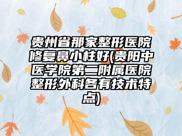 贵州省那家整形医院修复鼻小柱好(贵阳中医学院第二附属医院整形外科各有技术特点)