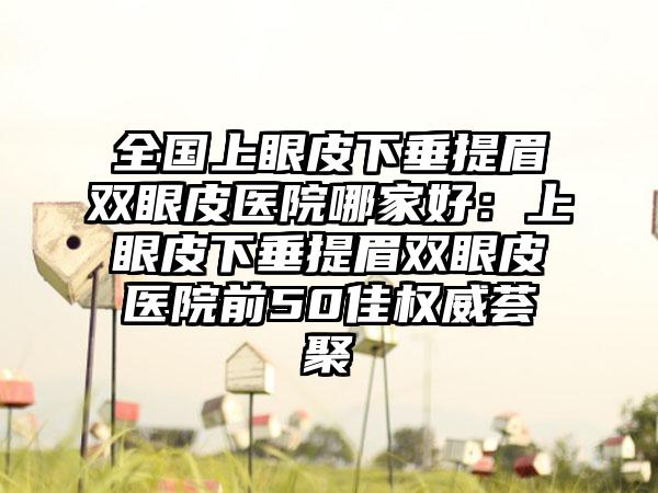 全国上眼皮下垂提眉双眼皮医院哪家好：上眼皮下垂提眉双眼皮医院前50佳权威荟聚