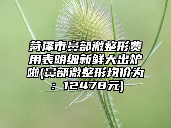 菏泽市鼻部微整形费用表明细新鲜大出炉啦(鼻部微整形均价为：12478元)