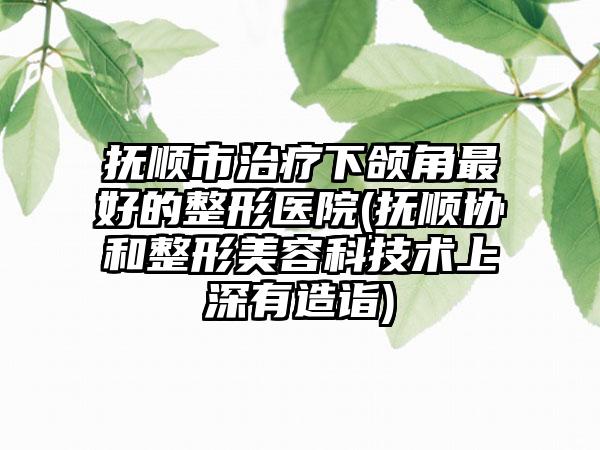 抚顺市治疗下颌角最好的整形医院(抚顺协和整形美容科技术上深有造诣)