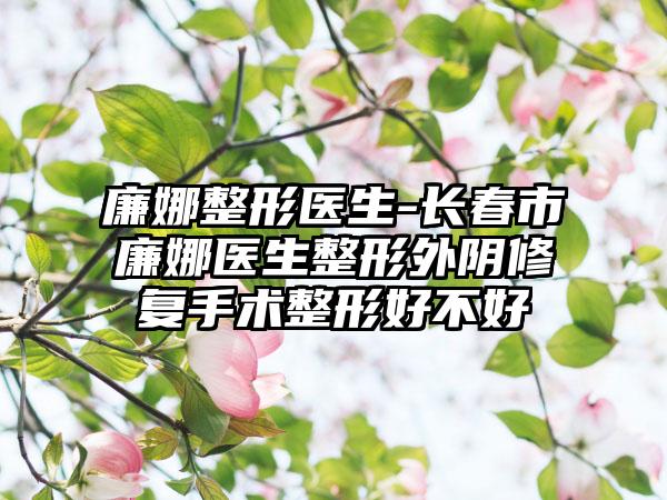 廉娜整形医生-长春市廉娜医生整形外阴修复手术整形好不好