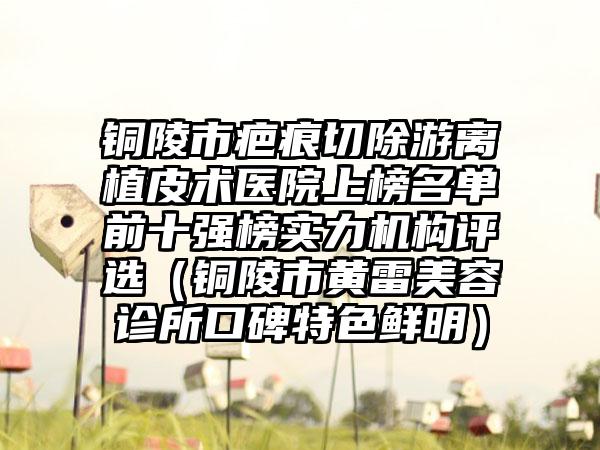 铜陵市疤痕切除游离植皮术医院上榜名单前十强榜实力机构评选（铜陵市黄雷美容诊所口碑特色鲜明）