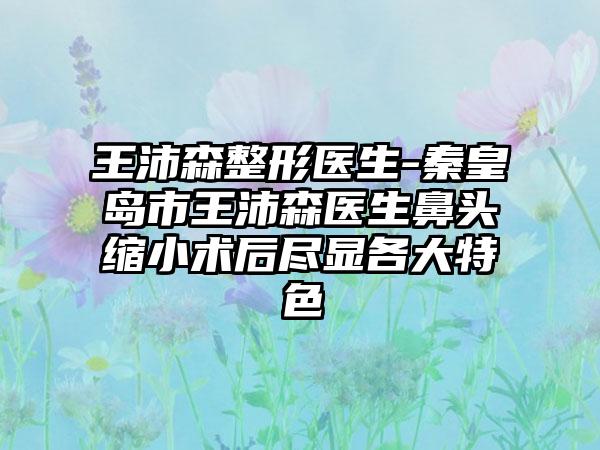 王沛森整形医生-秦皇岛市王沛森医生鼻头缩小术后尽显各大特色