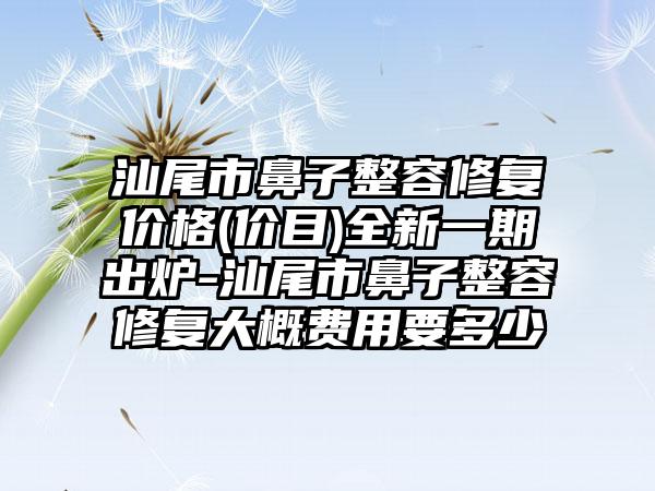 汕尾市鼻子整容修复价格(价目)全新一期出炉-汕尾市鼻子整容修复大概费用要多少